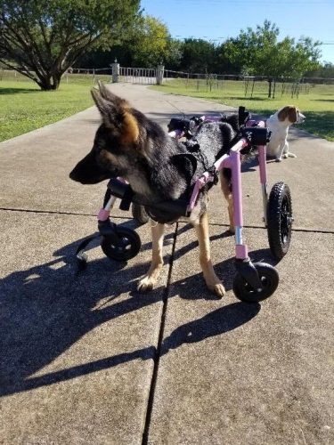 Cheyenne Cheyenne