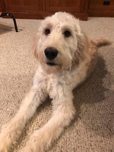 Marley (OH) Marley (OH)